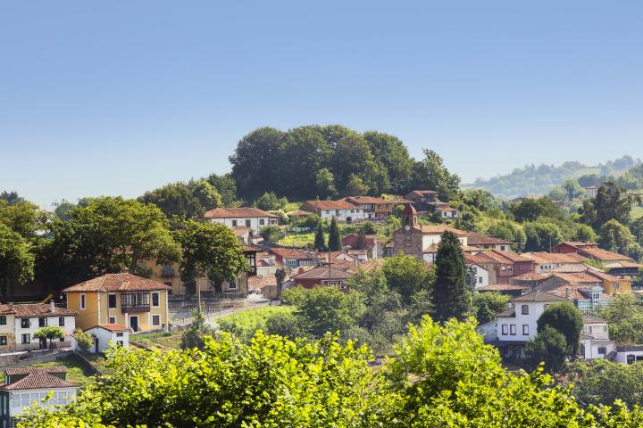 Torazo. Imagen de Noé Baranda