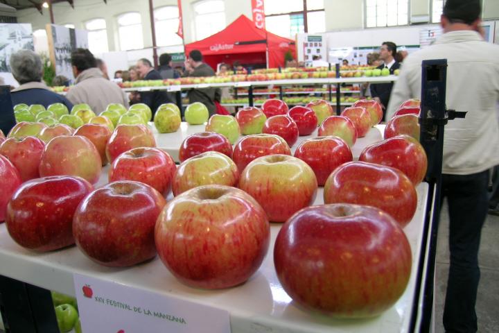 COMARCA DE LA SIDRA
